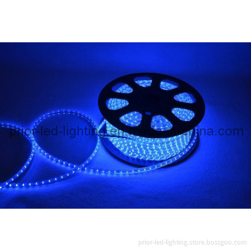 220V LED5050 Strip Light Blue Color